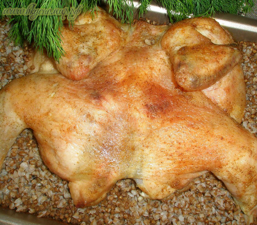 Курица с гречкой со специями в духовке